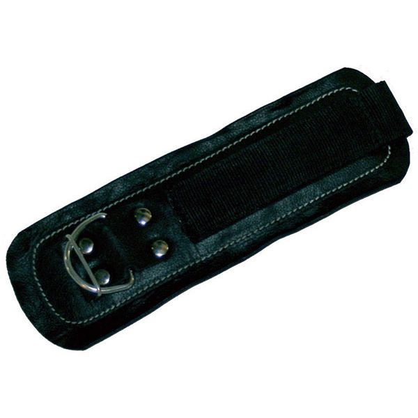 Ankle Strap