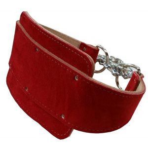 Dipping Belt