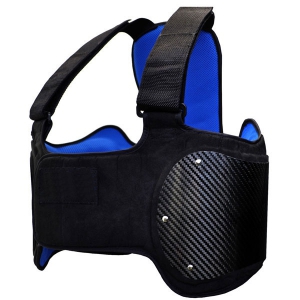 Rib Protector