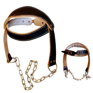 Head Harness