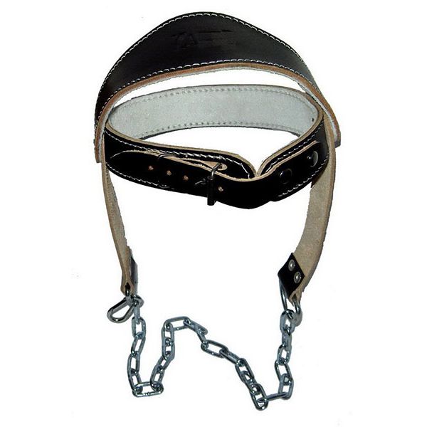 Head Harness