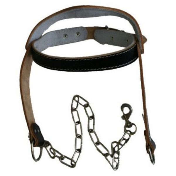 Head Harness