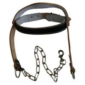 Head Harness