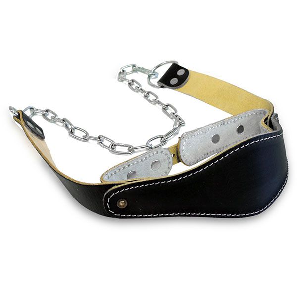 Head Harness