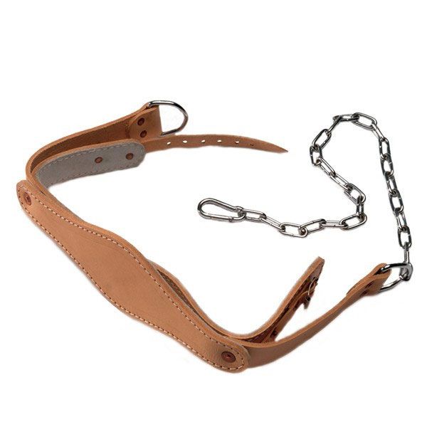 Head Harness