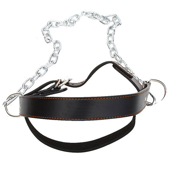 Head Harness