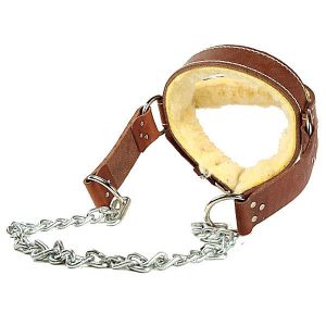 Head Harness