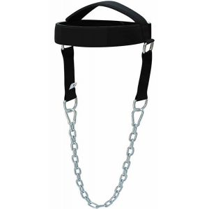 Head Harness