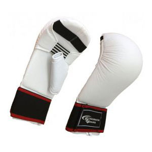 Karate Mitts