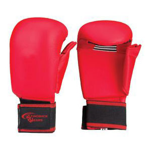 Karate Mitts